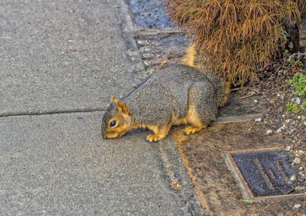 20170120-img_0304-edit