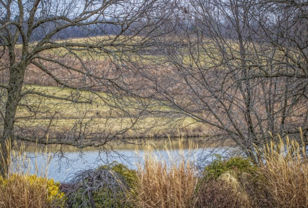 20170120-img_0386-edit