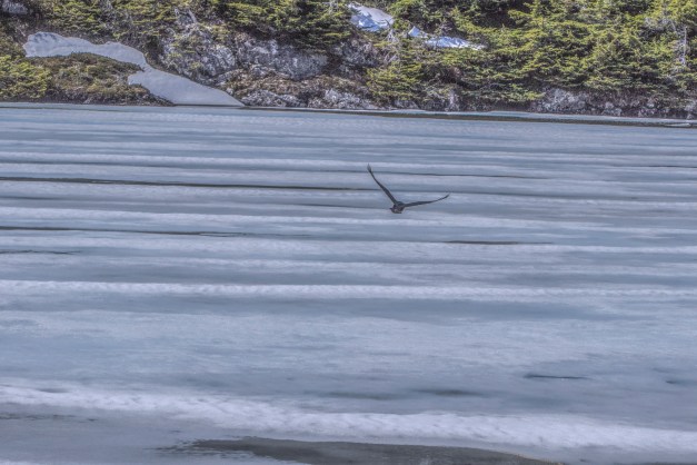 20160521-img_0520-edit-2-edit-edit