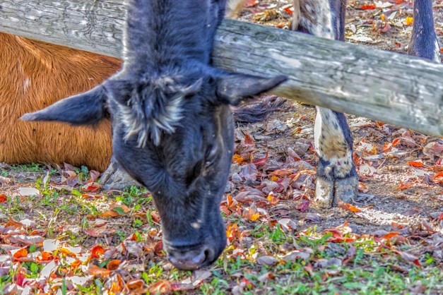 20161028-img_0042-edit