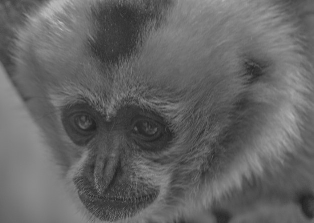 20161111-img_0096-edit