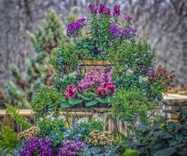 20170120-img_0399-edit