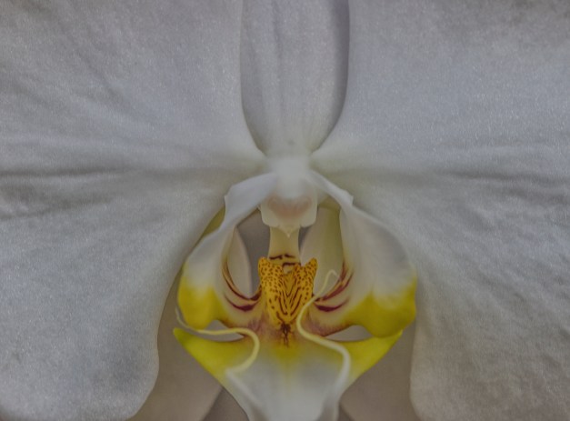 20170212-img_0628-edit